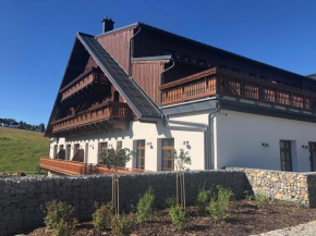 Strunzova Pila - apartmány s wellness 2,06 a 3,03, Kvilda